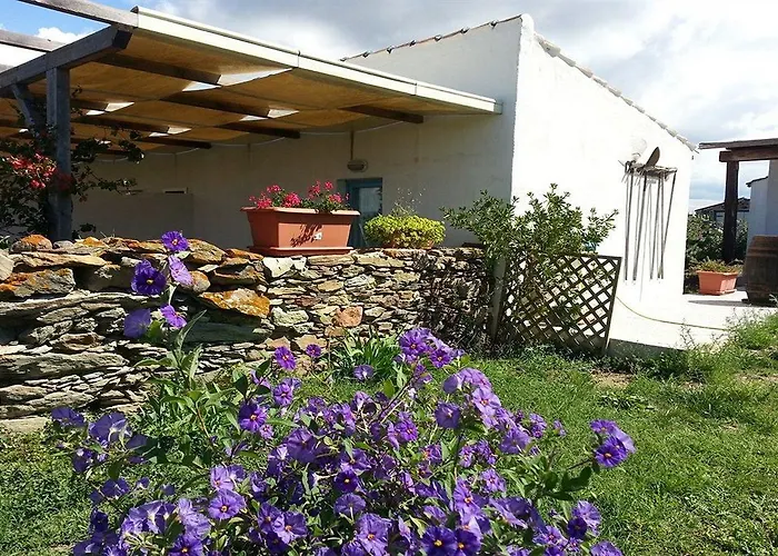 ゲストハウス Sa Corti De Sa Perda